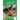 Turtle or Tortoise?
