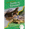 Turtle or Tortoise?