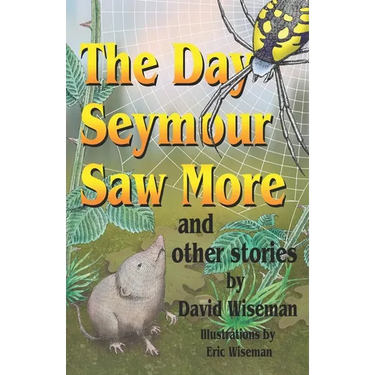 The Day Seymour Saw More and Other Stories