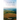 Triumph in Transition
