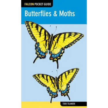 Butterflies & Moths