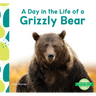 Day in the Life of a Grizzly Bear