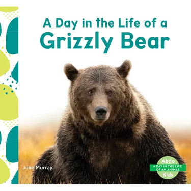 Day in the Life of a Grizzly Bear