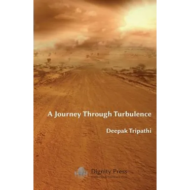A Journey Through Turbulence