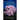 You Can Grow African Violets: The Official Guide Authorized by the African Violet Society of America, Inc.