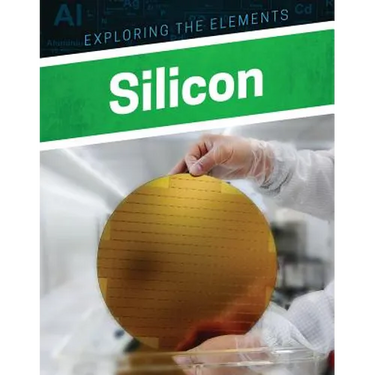 Silicon