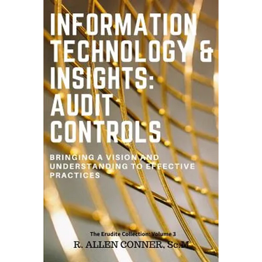 Information Technology & Insights: Audit Controls: Bringing a Vision and Understanding to Effective Practices