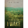 If I Die Before I Wake