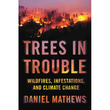 Trees in Trouble: Wildfires, Infestations, and Climate Change