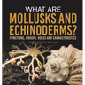 What are Mollusks and Echinoderms? Functions, Groups, Roles and Characteristics Grade 6-8 Life Science