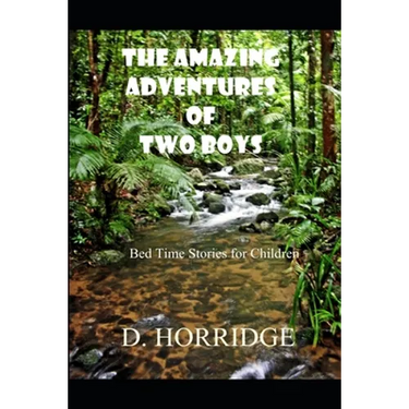 The Amazing Adventures of Two Boys: Bed Time Stories for Children