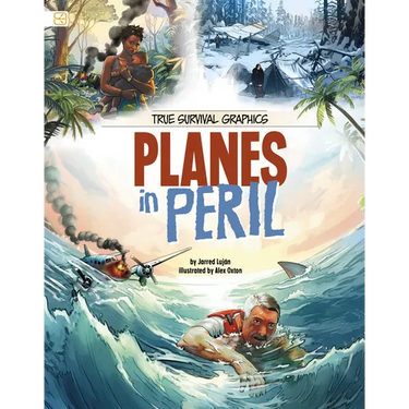 Planes in Peril