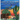 Under the Desert Skies: The Stinky, Curious, and Disgusting