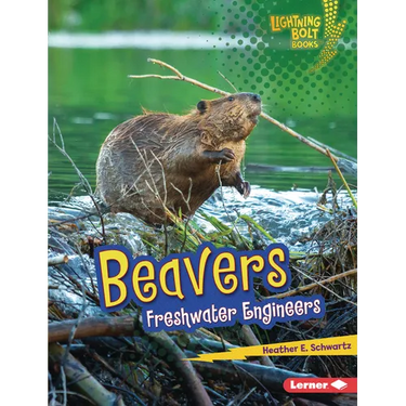 Beavers: Freshwater Engineers