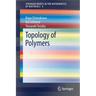 Topology of Polymers