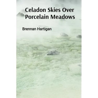 Celadon Skies Over Porcelain Meadows: A Ceramicist's Odyssey Through Form, Texture, and Translucence
