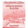 Northwest Africa: Seizing the Initiative in the West