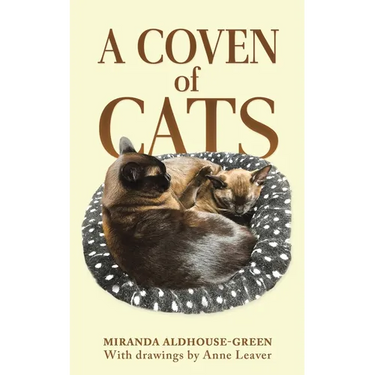 A Coven of Cats