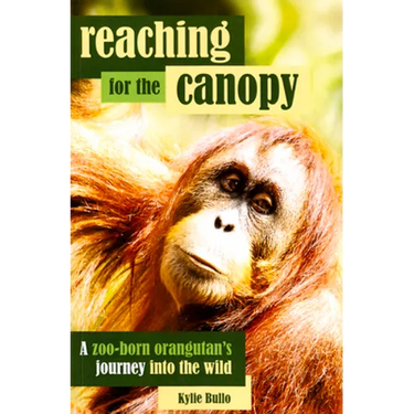 Reaching for the Canopy: A Zoo-Born Orangutan's Journey Into the Wild