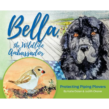 Bella, the Wildlife Ambassador: Protecting Piping Plovers