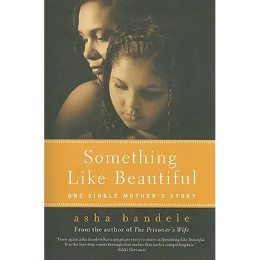 Something Like Beautiful: One Single Mother's Story