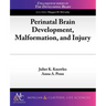 Perinatal Brain Development, Malformation, and Injury