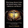 What Strange Mystery Unites the Turkish Nations, India, Catholicism, and Mexico?: A Concise But Detailed History of Things Divine and Earthly