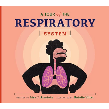 A Tour of the Respiratory System