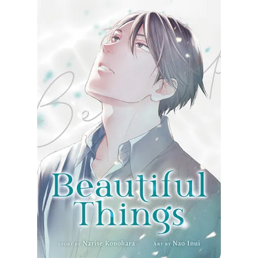 Beautiful Things: The Complete Manga Collection
