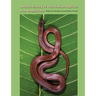 Natural History of West Indian Reptiles and Amphibians