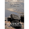 Washout: A Folly Beach Mystery