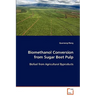 Biomethanol Conversion from Sugar Beet Pulp