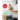 Eating for Pregnancy: Your Essential Month-By-Month Nutrition Guide and Cookbook