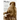 Modoc: The True Story of the Greatest Elephant That Ever Lived