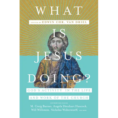 What Is Jesus Doing?: God's Activity in the Life and Work of the Church