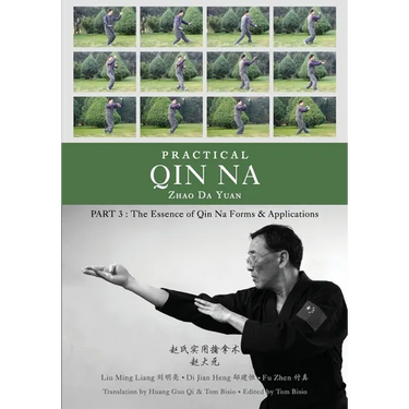 Practical Qin Na Part 3: The Essence of Qin Na - Forms & Applications