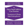 A Harry Stack Sullivan Case Seminar