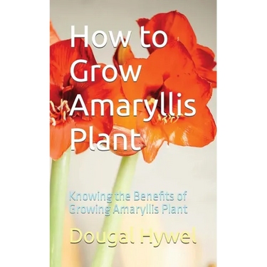 How to Grow Amaryllis Plant: Knowing the Benefits of Growing Amaryllis Plant
