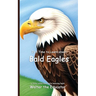 It's Time to Learn about Bald Eagles