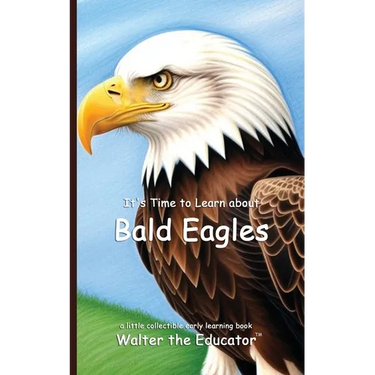 It's Time to Learn about Bald Eagles