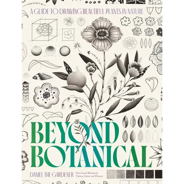 Beyond Botanical: A Guide to Drawing Plants in Nature