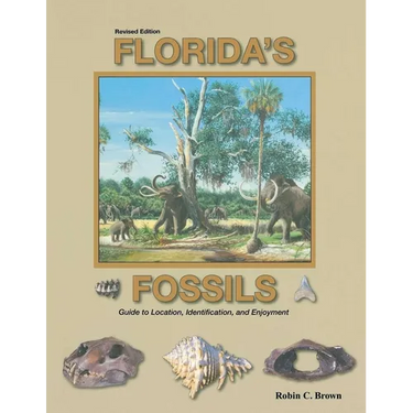 Florida's Fossils