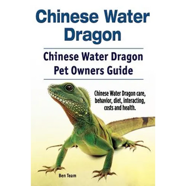 Chinese Water Dragon. Chinese Water Dragon Pet Owners Guide. Chinese Water Dragon care, behavior, diet, interacting, costs and health.