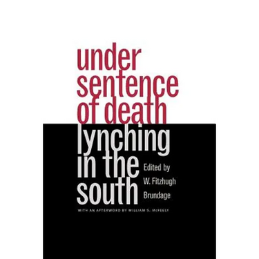 Under Sentence of Death: Lynching in the South