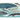 Whales: An Illustrated Celebration