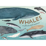 Whales: An Illustrated Celebration