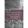 The Industrial Turn in World History