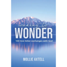 Waking to Wonder