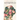 Stripped: A Collection of Inspired Writings for the Evolving Woman