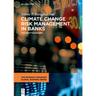 Climate Change Risk Management in Banks: The Next Paradigm